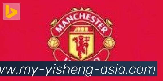 亿盛彩票平台合作伙伴